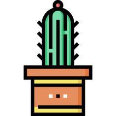 仙人掌