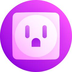 Socket