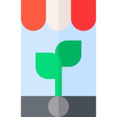 Growth