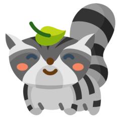 Raccoon