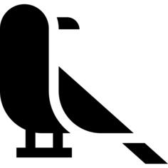 Raven