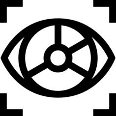 Eye recognition
