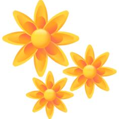 Anise