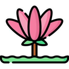 莲花