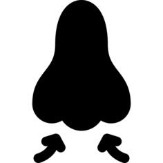 呼吸