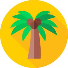 Palm tree