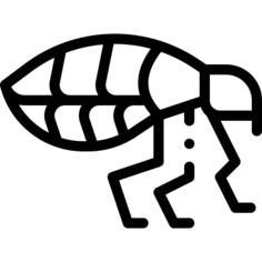 Flea