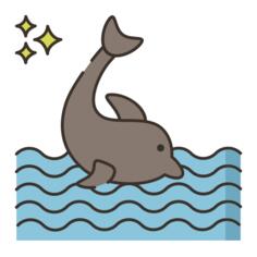 海豚