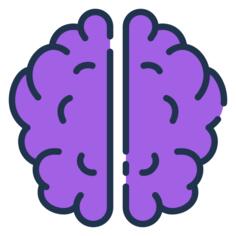 Brain