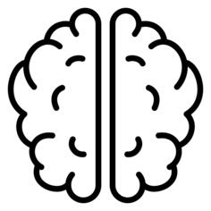 Brain