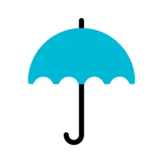 雨