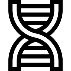 脱氧核糖核酸