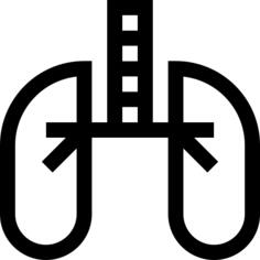 肺