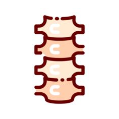 Spine