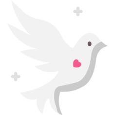 鸽子