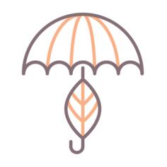 Umbrella