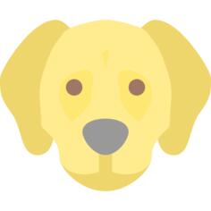 狗