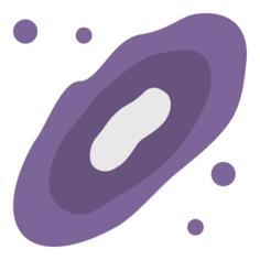 Nebula