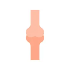 关节
