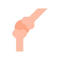 Knee