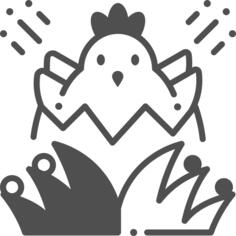 Chick