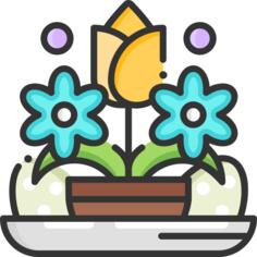 花卉