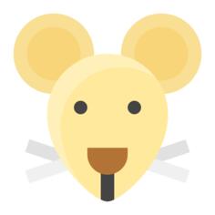 鼠
