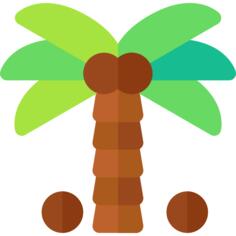 Palm tree