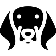 狗