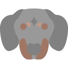 狗