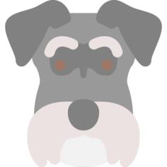 狗