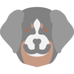 狗