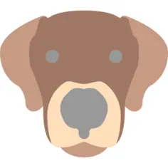 狗