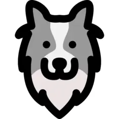 狗