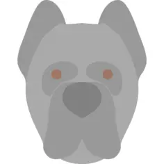 狗