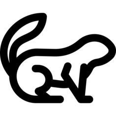 土拨鼠