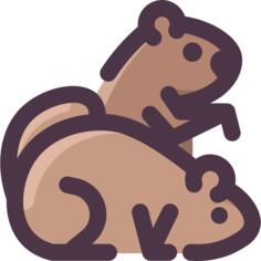 Groundhog