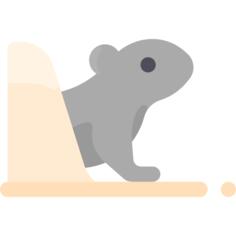 Groundhog
