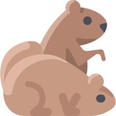 土拨鼠