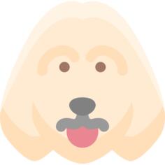 狗