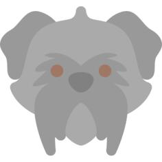 狗