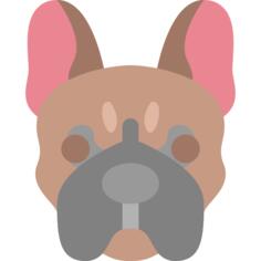 狗