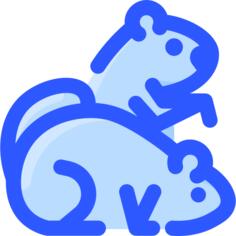 土拨鼠