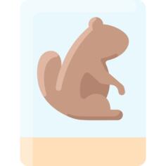 Groundhog