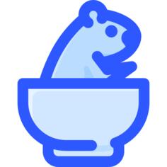 Groundhog