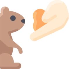 土拨鼠