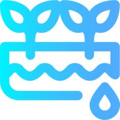 种植