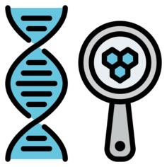 Dna