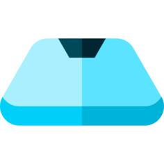 Windshield