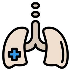 Lungs